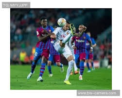 综合体育热门关键词整合 提升搜索覆盖能力