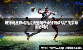 羽毛球：天王杯国际公开赛开赛